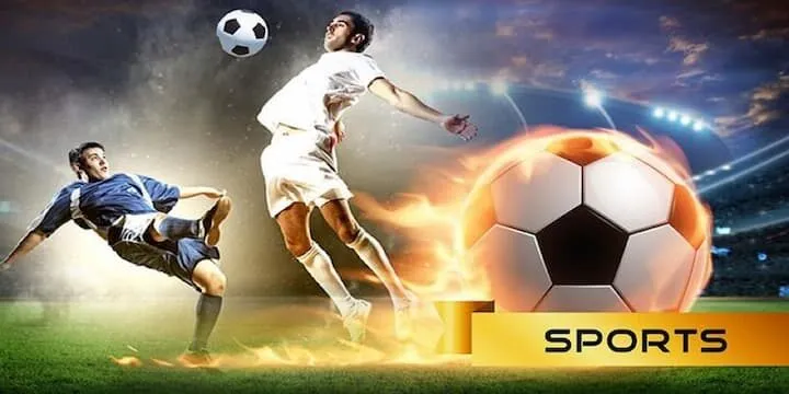 Bí quyết chơi cá cược Thể Thao Casino 